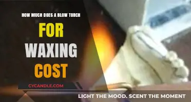 The Ultimate Guide to Blow Torch Prices for Professional Waxing