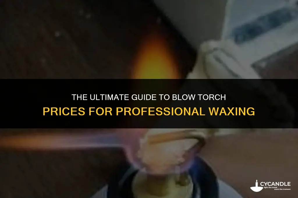 how much does a blow torch for waxing cost