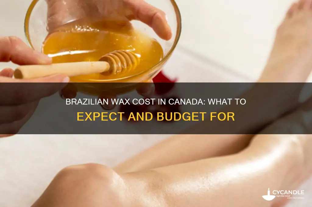 how much does a brazilian wax cost in canada