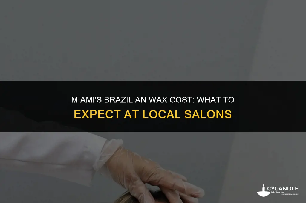how much does a brazilian wax cost in miami