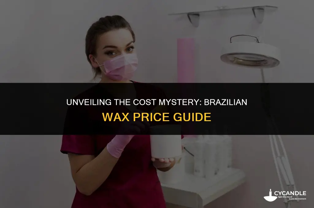how much does a brazilian wax usually cost