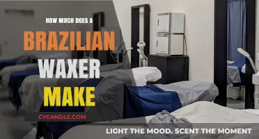 Brazilian Waxer Salary: Earning Potential and Career Insights Revealed