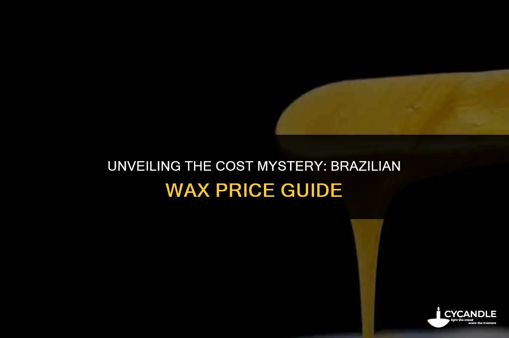 how much does a brizilian wax cost