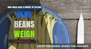 Exploring the Weight of a Bushel of Yellow Wax Beans