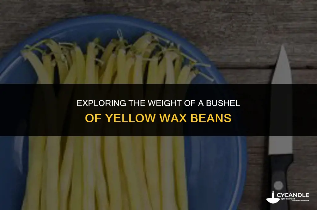 how much does a bushel of yellow wax beans weigh