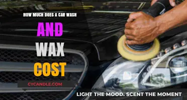 Exploring the Price Range for Professional Car Wash and Wax Services
