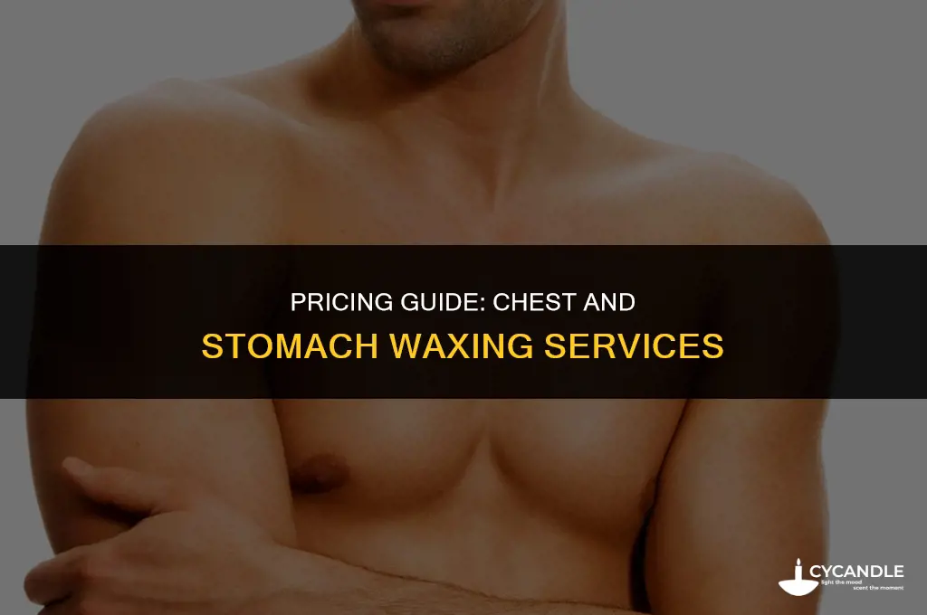 how much does a chest and stomach wax cost