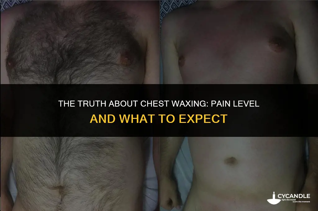 how much does a chest wax hurt