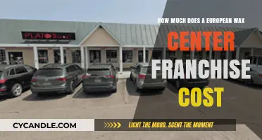 Unlocking the Cost Secrets of a European Wax Center Franchise