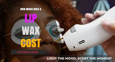 Exploring the Cost of Lip Waxing: A Comprehensive Guide