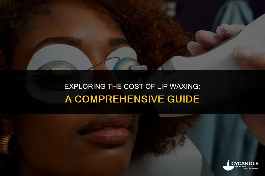 how much does a lip wax cost