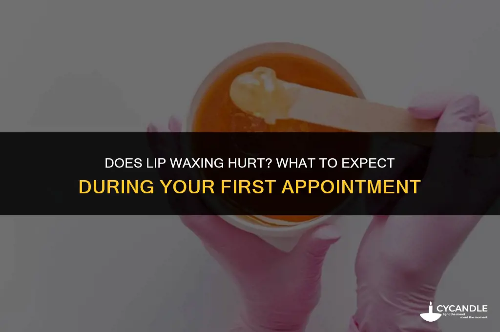 how much does a lip wax hurt