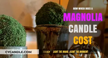 Magnolia Candle Price Guide: Cost Breakdown and Buying Tips