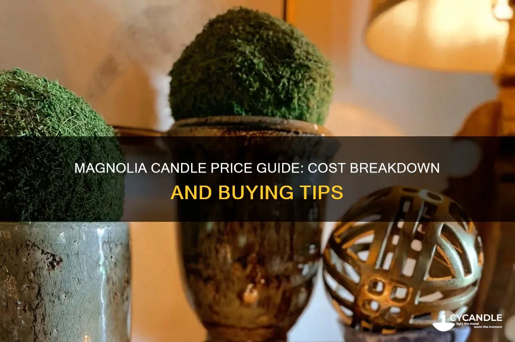 how much does a magnolia candle cost