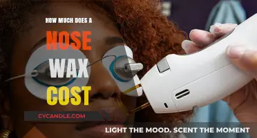 The Complete Guide to Nose Waxing: Costs, Benefits, and Alternatives