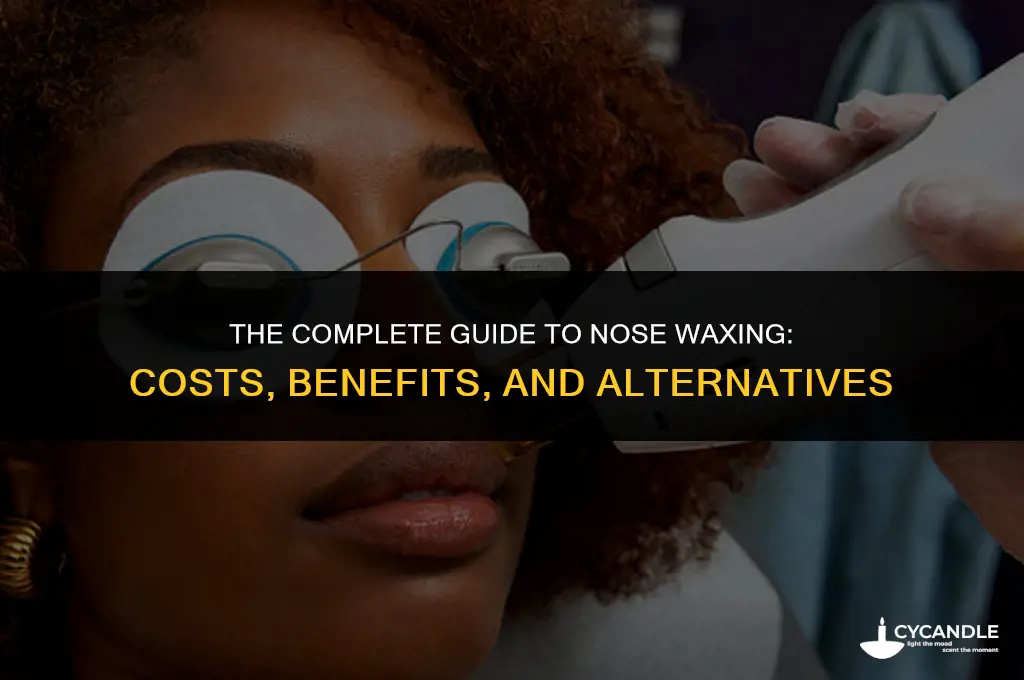 how much does a nose wax cost