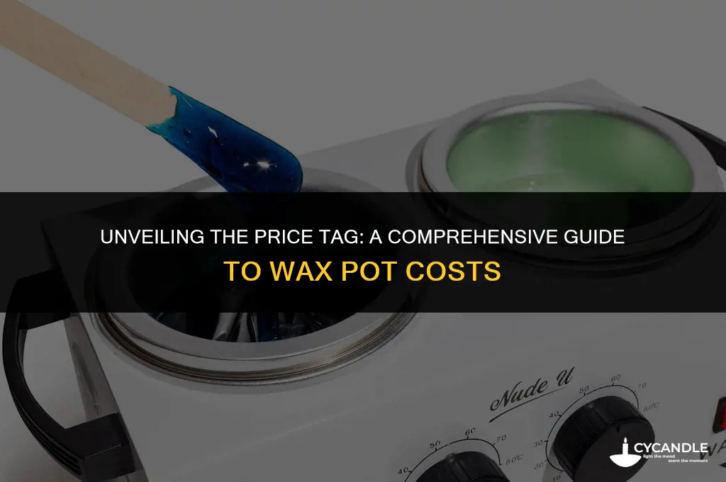 how much does a wax pot cost