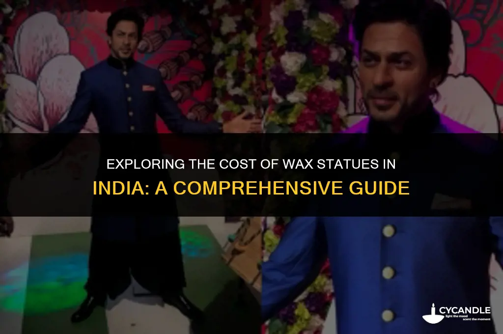 how much does a wax statue cost in india