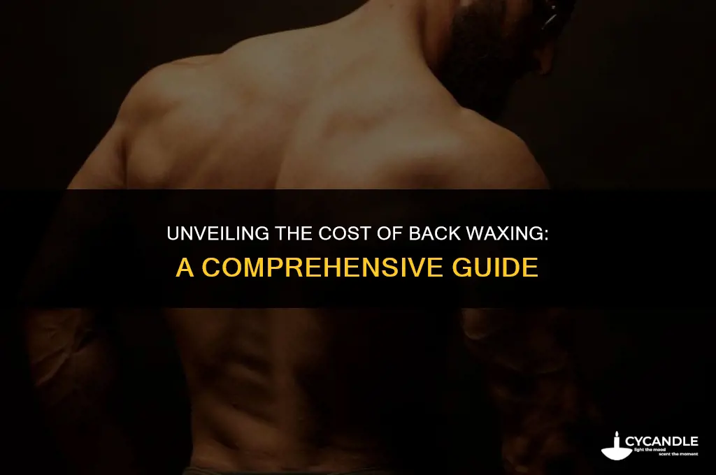 how much does back waxing cost