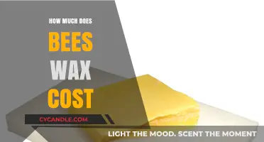 Exploring the Cost of Beeswax: A Comprehensive Guide
