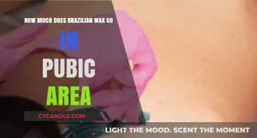 Exploring the Cost of Brazilian Waxing in the Pubic Area