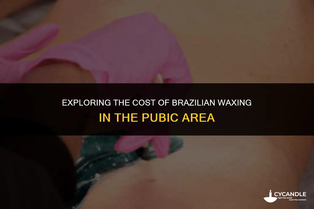 how much does brazilian wax go in pubic area