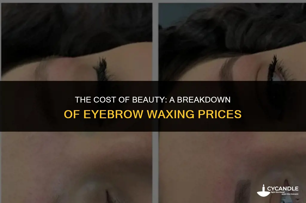 how much does eybrow waxing costr
