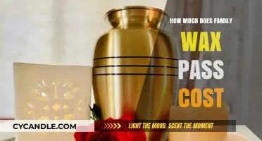 Budgeting for Family Fun: The Cost of Wax Passes Explained