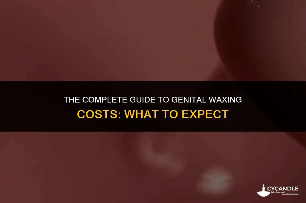 how much does genetial waxing cost