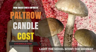 Gwyneth Paltrow's Controversial Candle Price: Is It Worth the Hype?
