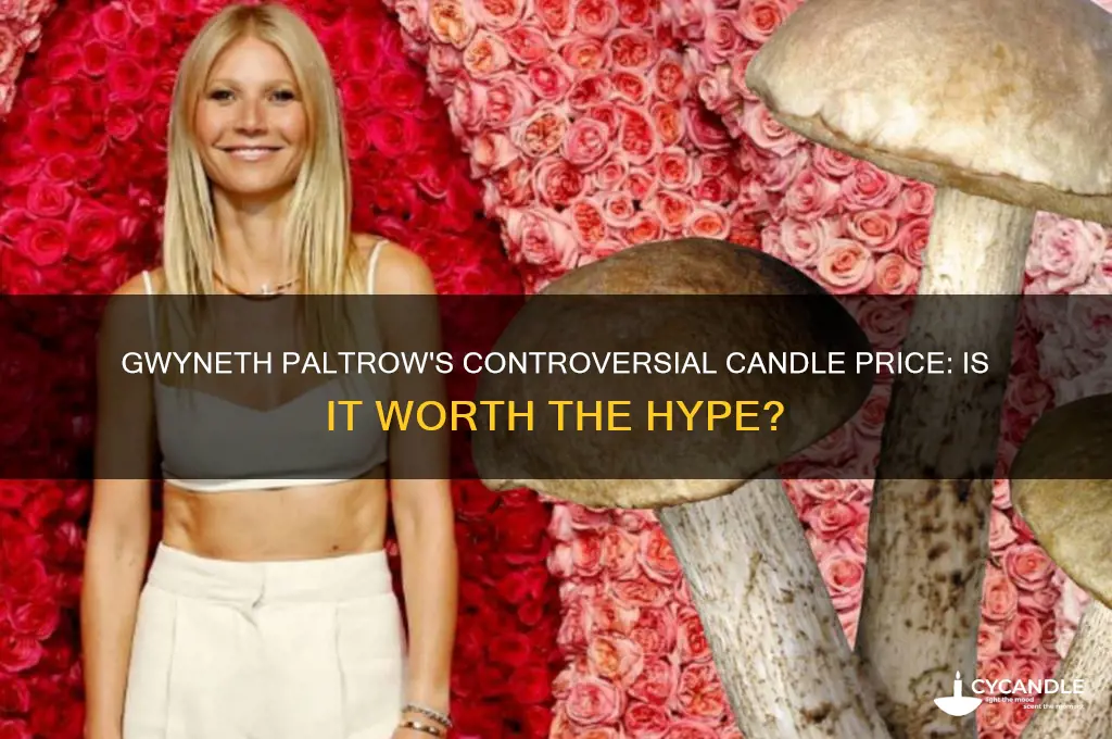 how much does gwyneth paltrow candle cost