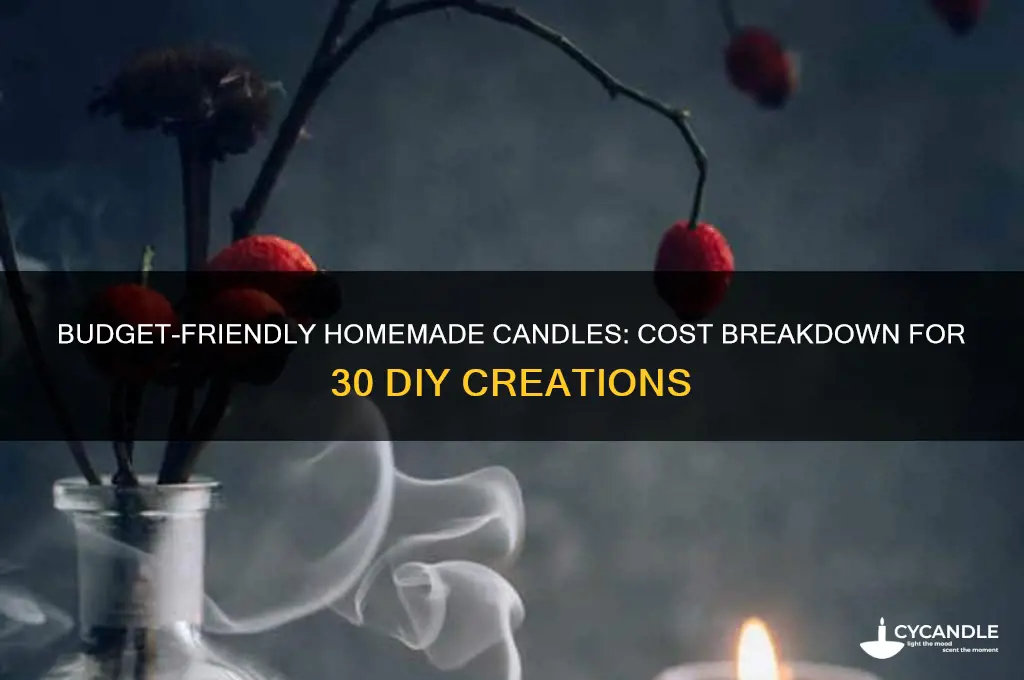 how much does it cost to make 30 homemade candles