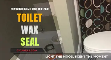 Fixing Leaks: The Cost of Repairing a Toilet Wax Seal