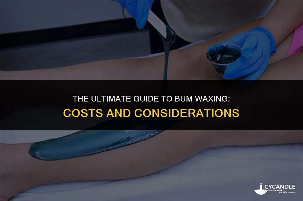 how much does it cost to wax your bum