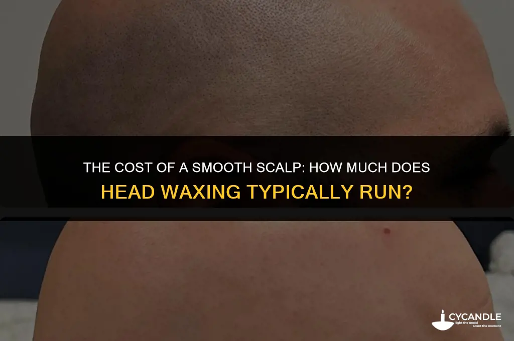 how much does it cost to wax your head