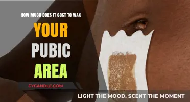 The Cost of Pubic Waxing: A Comprehensive Guide