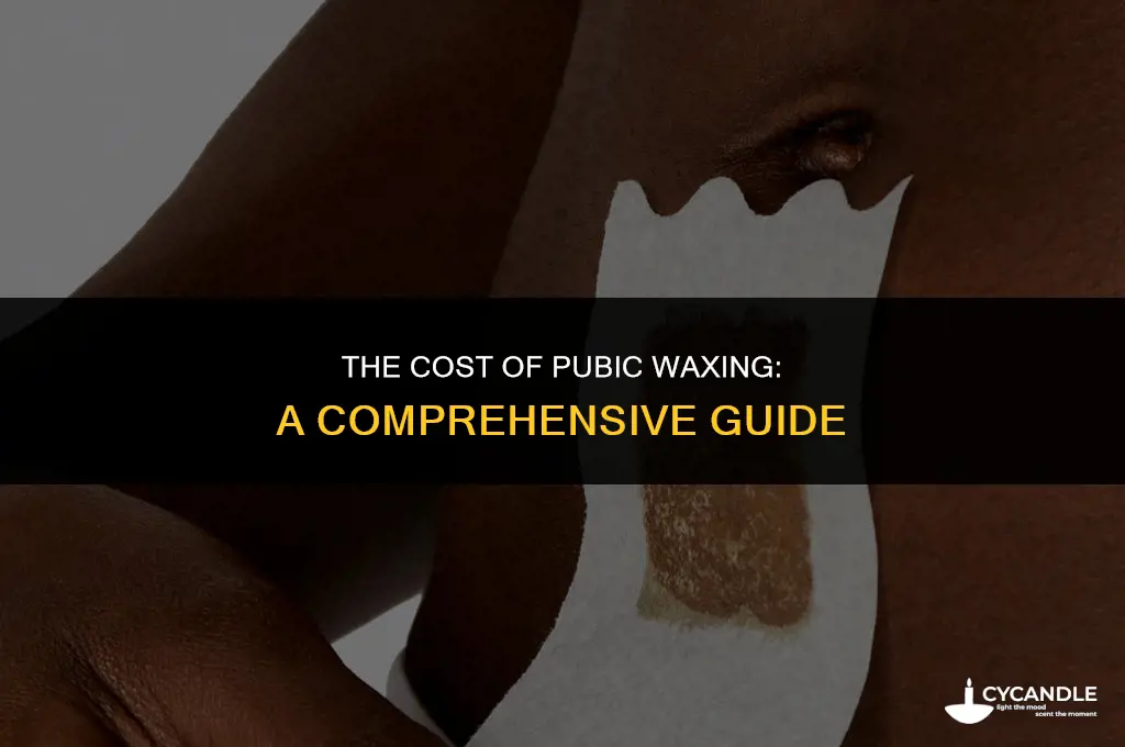 how much does it cost to wax your pubic area