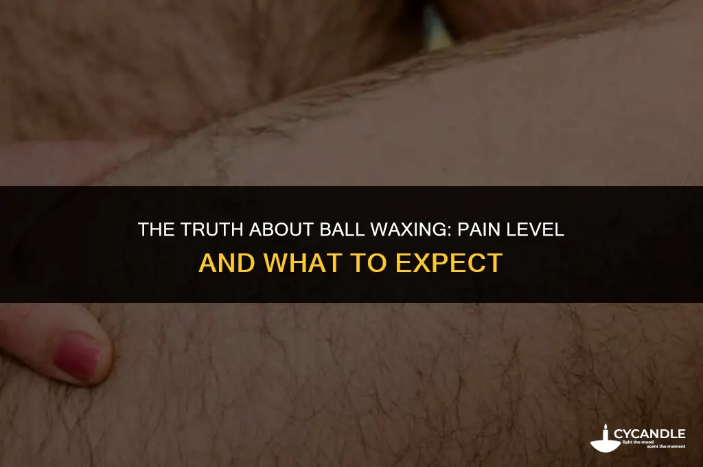 how much does it hurt to wax your balls