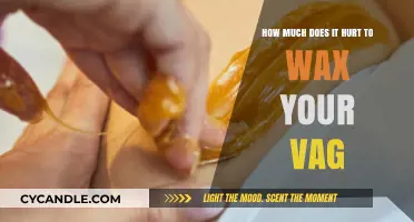 The Truth About Vaginal Waxing: Pain, Preparation, and Aftercare