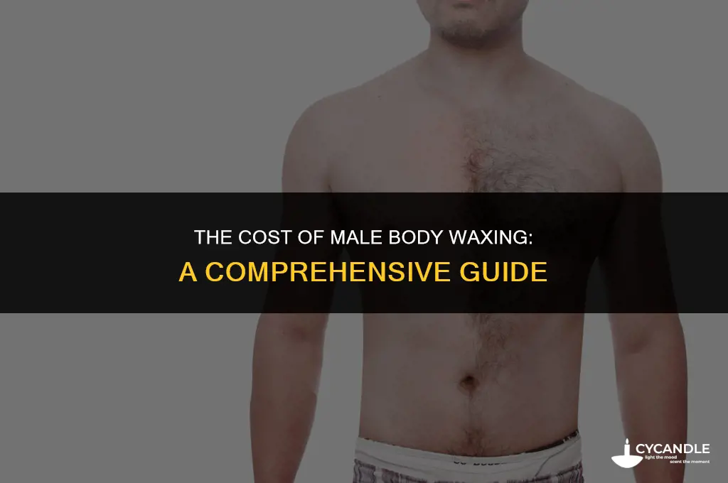 how much does male body waxing cost