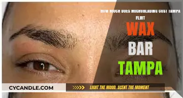Tampa's Microblading Costs: A Comprehensive Guide at Flirt Wax Bar