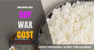 Exploring the Cost of Soy Wax: A Comprehensive Guide