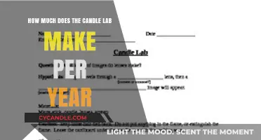 The Candle Lab's Annual Revenue: Unveiling the Profitable Scent Business