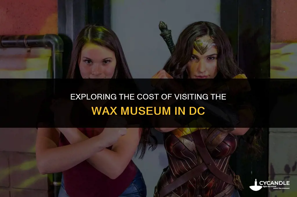 how much does the wax museum in dc cost