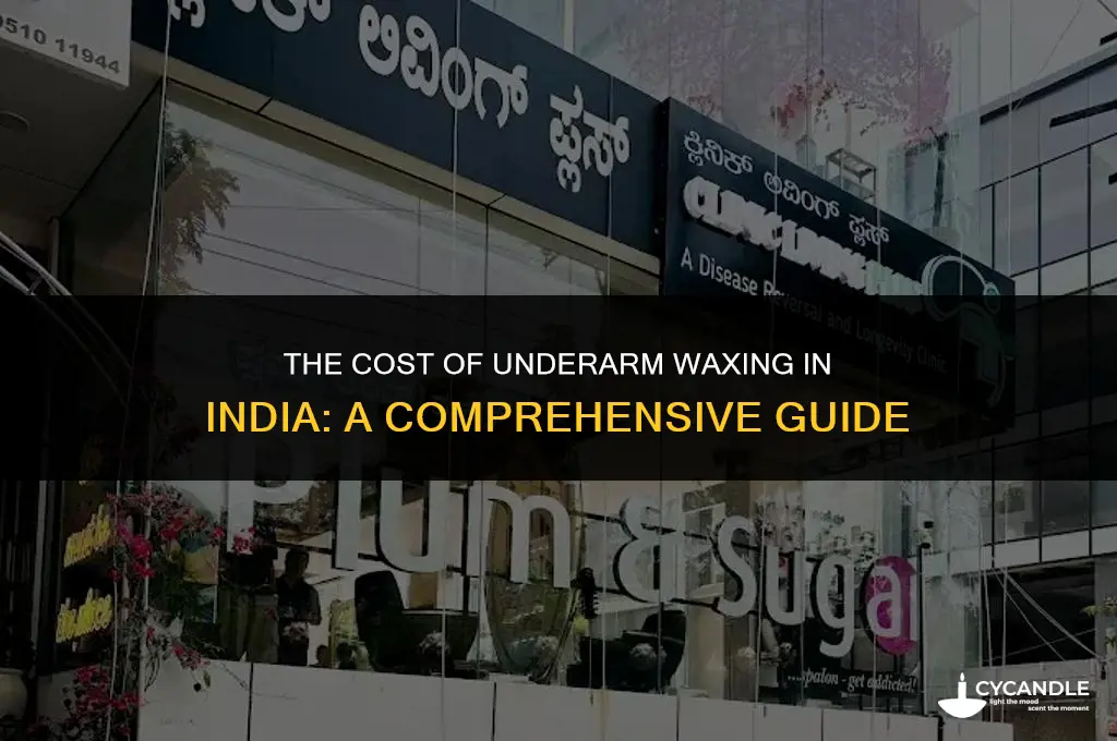 how much does underarm waxing cost in india