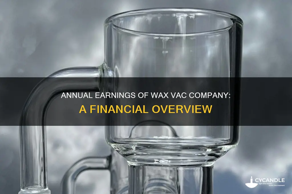 how much does wax vac company makes a year
