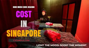 Exploring Waxing Costs in Singapore: A Comprehensive Guide