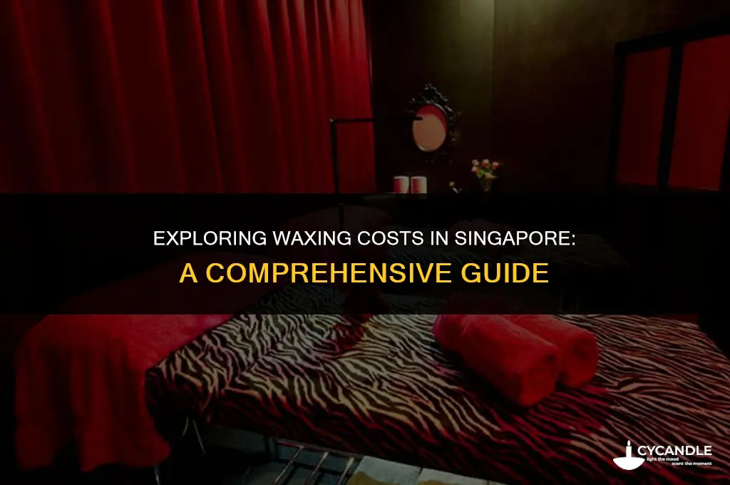 how much does waxing cost in singapore