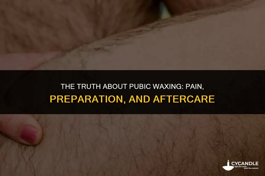how much does waxing your pubic area hurt