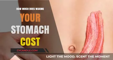 The Cost of Stomach Waxing: What to Expect and Where to Find Deals